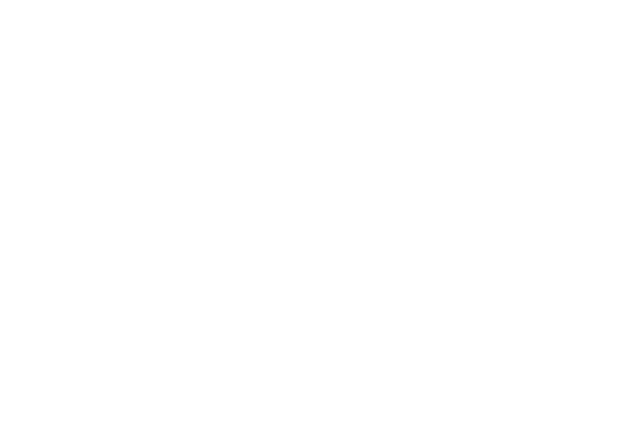 Sonia Wang Personal Real Estate Corporation